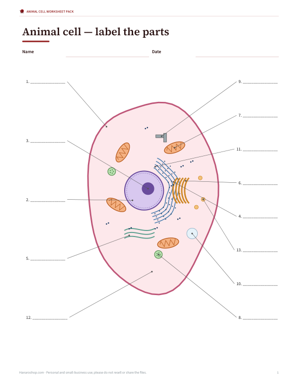 Preview of Printable Animal Cell Diagram