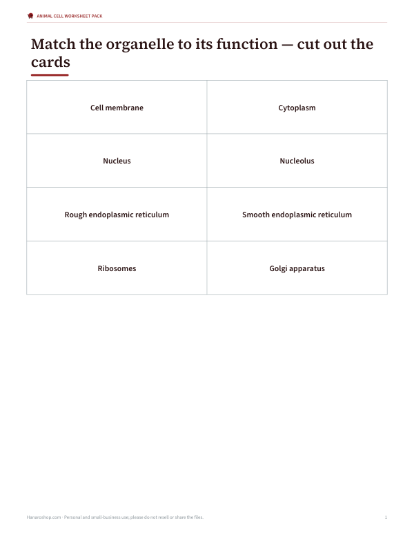 Preview of Animal Cell Organelle Card Sort