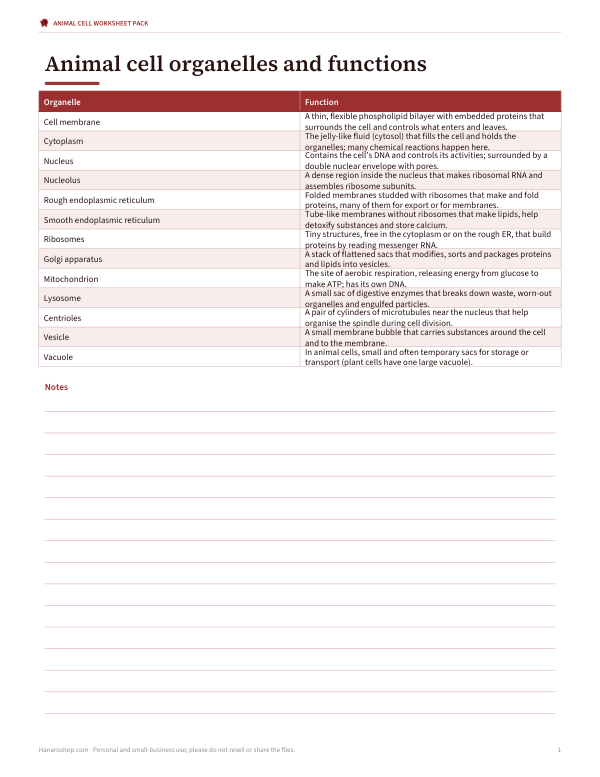 Preview of Printable Animal Cell Functions Chart